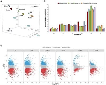 Combined Stress Conditions in Melon Induce Non-additive Effects in the Core miRNA Regulatory Network